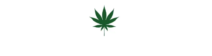Star Buds Logo White