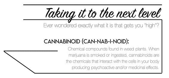 what are cannabinoids