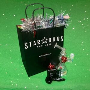 Star Buds accessories - Holiday Gift Guide 2025